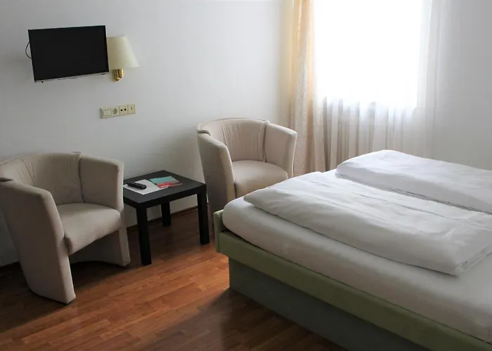 Ulmer Spatz 2* 울름